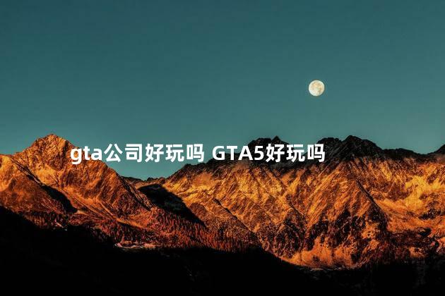 gta公司好玩吗 GTA5好玩吗